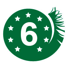 6 años de garantía