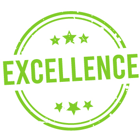 Gespa artificial Excellence
